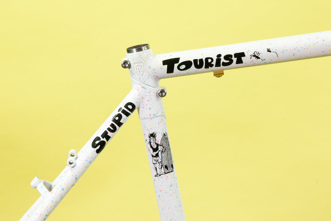 Stupid Tourist