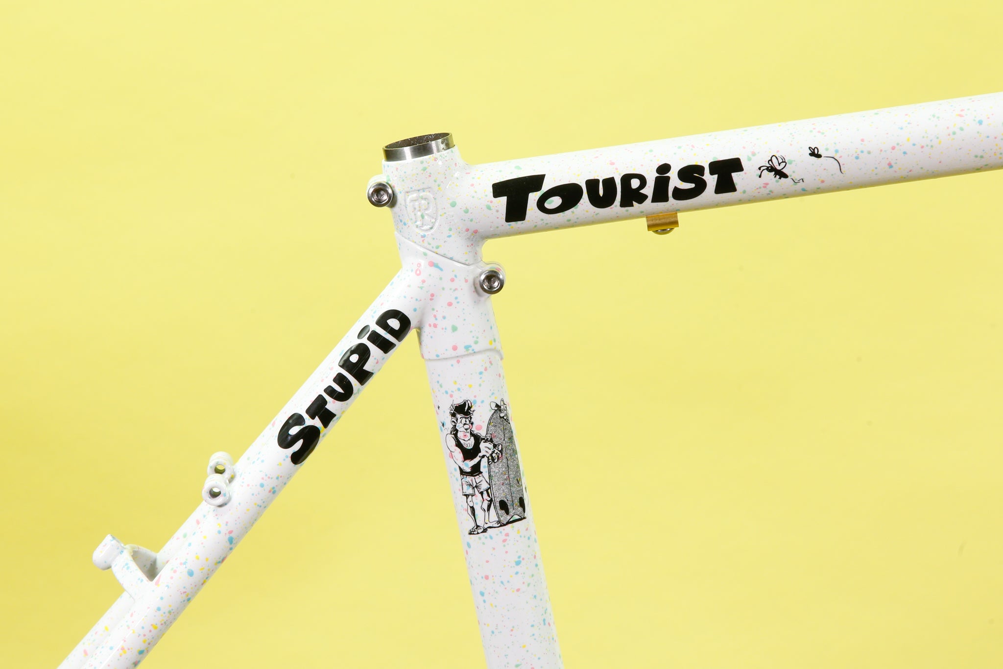 Stupid Tourist