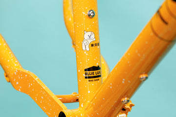 Evasion – Crust Bikes