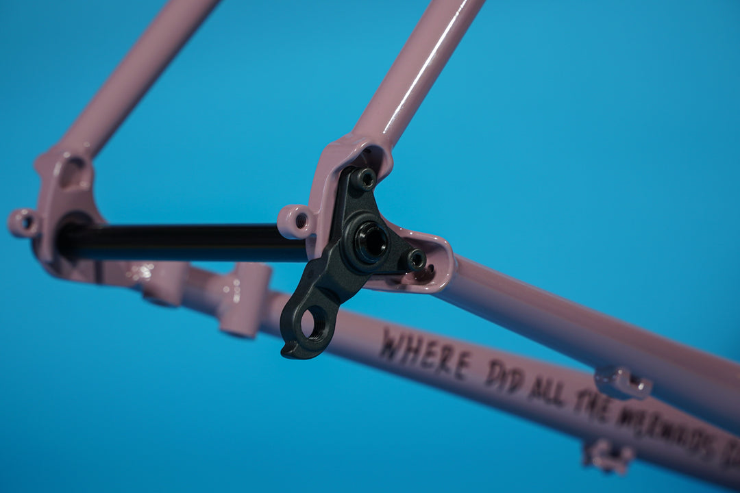Replacement Thru Axle Derailleur Hanger