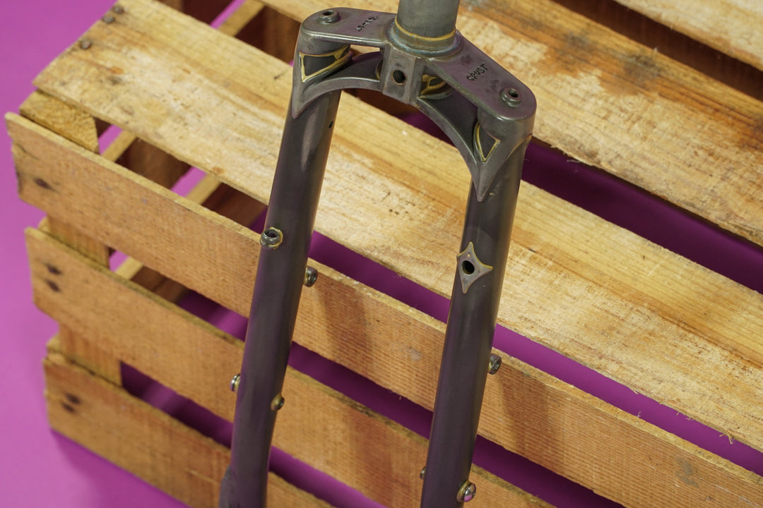 Disc Romanceür Fork