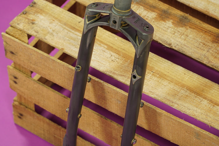 Disc Romanceür Fork