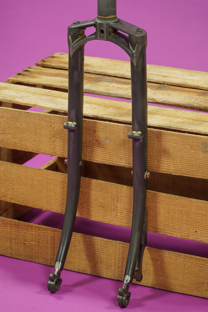 Disc Romanceür Fork